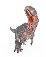 giganotosaurus is running on white background front view © DM7