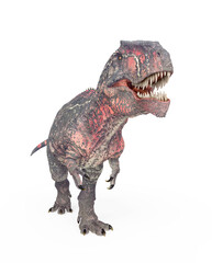 giganotosaurus is walking on white background bird eye view © DM7