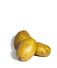 Potatoes on white background , very necessary in your diet