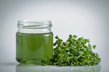Fresh micro greens. Micro sprouts. Microgreens growing. Many young fresh sprouts of peas. Isolated on white background, Healthy lifestyle food