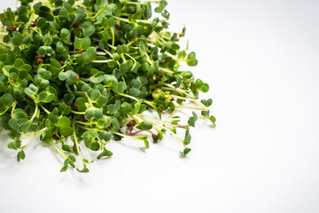 Fresh micro greens. Micro sprouts. Microgreens growing. Many young fresh sprouts of peas. Isolated on white background, Healthy lifestyle food