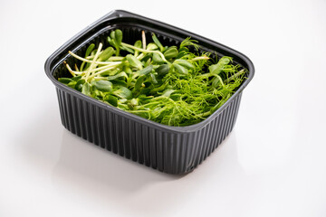 Fresh micro greens. Micro sprouts grown in plastic box. Microgreens growing. Many young fresh sprouts of peas grow in bowl. Isolated on white background, Healthy lifestyle food