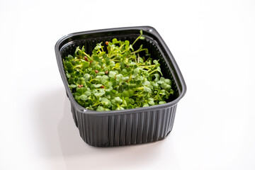 Fresh micro greens. Micro sprouts grown in plastic box. Microgreens growing. Many young fresh sprouts of peas grow in bowl. Isolated on white background, Healthy lifestyle food