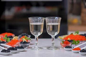 Caviar and two glass with white wine or champagne. Tasting salmon red caviar and black beluga...