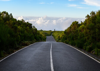 Empty road in highlands of Madeira