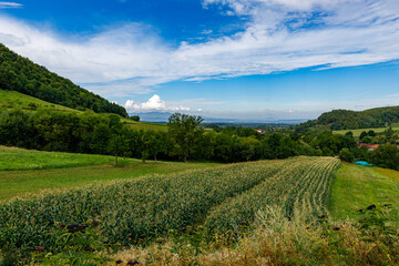 Naklejka premium The landscape at chiscau in romania