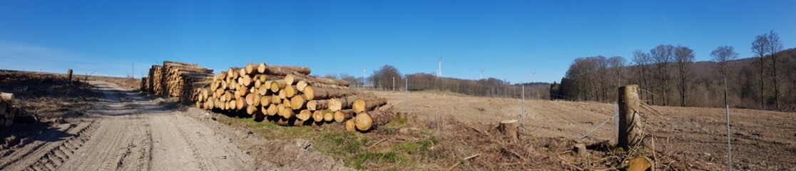 future forest area bauerkamp near veldrom