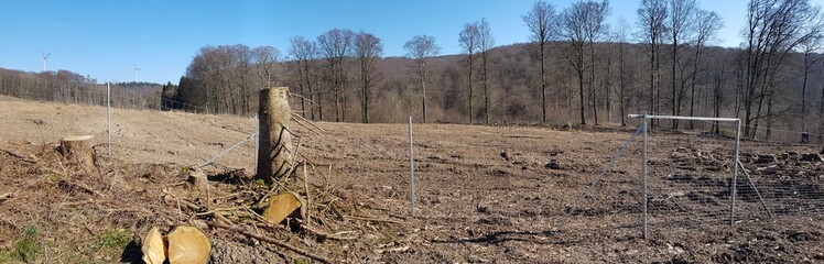 future forest area bauerkamp