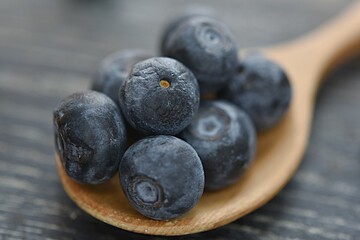 blue blueberries on a wooden spoon close-up on a dark wooden background