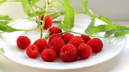 Ripe red berries of tibetan raspberry with green leaves on branch on white plate close-up