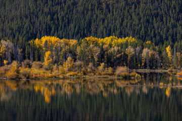 Scenic Autumn Landscape in Grand Teton National Park Wyoming