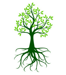 Green Tree with Roots. Vector outline Illustration.
