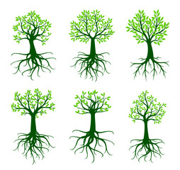 Set Green Trees with Roots. Vector outline Illustration.