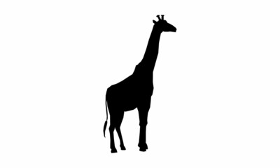 giraffe silhouette vector