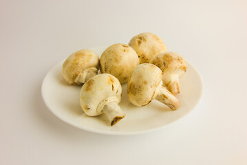 Champignons isolated on white background