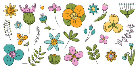Fototapeta na wymiar Flowers set. Floral and plants colorful vector elements.