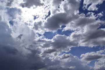 silhouettes of trees, metal structures, silhouettes of machinery, sunny and cloudy horizon