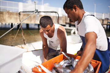 Its hard work to be a fisherman. Cropped shot of two fishermen on their boat with the fish they...