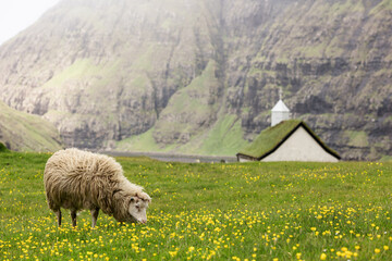 Faroe Islands, Denmark, Saksun