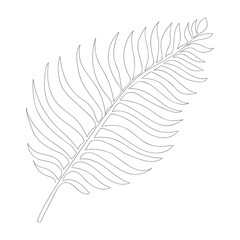 Art palm leaves. Outline drawing. Art of minimalism. Modern decor. 