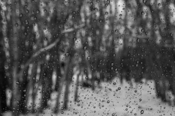 Raindrops on a window with the background of blurry trees 