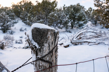 Fence post in the snow