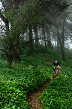 Young mountain biker going fast in a beatiful foggy morning in Spain