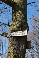 Baum frisst Schild streng verboten