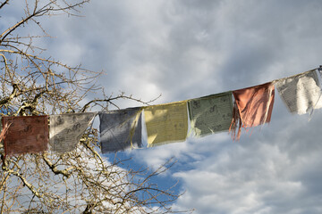 Tibetan prayer flags in closeup with a background of cloudy sky and tree branches 
