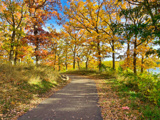 Fototapeta na wymiar path in autumn park