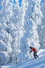 Shredding Trees