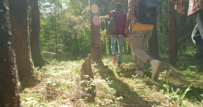 Young multiracial people hike to the camp in the summer forest in sunset time, 4k 60p Prores