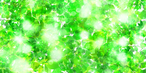 Fototapeta premium 新緑 葉 春 背景