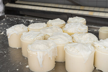 several curd-filled moulds for the creation of fresh cheese covered with gauze