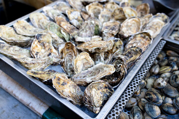 Fresh fish, sea food, oysters, shrimps, prawn on shelf in Sicily, Italy fish market