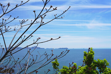 青空がきれいな海辺 
