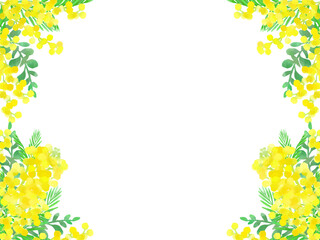 ミモザのイラスト背景、水彩風、手描き