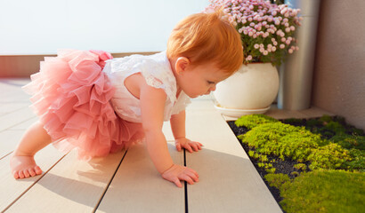 cute little infant baby girl exploring the sagina subulata grass on sunny patio - obrazy, fototapety, plakaty