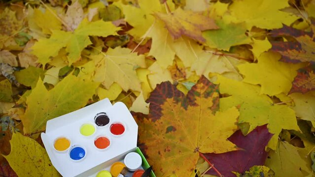 Paints and brushes against the background of autumn leaves. The concept of the season of colorful colorful autumn. High quality 4k footage