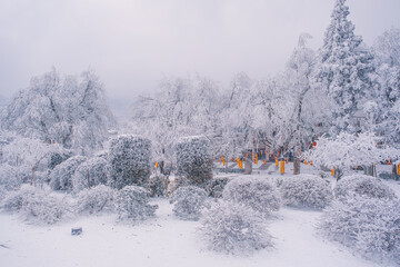 Winter snow scene in Lushan 5A Scenic Area, Jiujiang City, Jiangxi Province