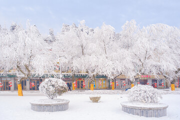 Winter snow scene in Lushan 5A Scenic Area, Jiujiang City, Jiangxi Province