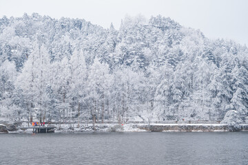 Winter snow scene in Lushan 5A Scenic Area, Jiujiang City, Jiangxi Province
