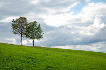 Fototapeta na wymiar Wiese mit zwei Bäumen vor Wolkenhimmel