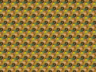 beautiful color of abstract background