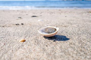 神奈川県逗子市の逗子海岸