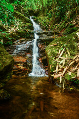 น้ำตกท่ามกลางป่าลึกดูใหลเย็นสวยงามดูน่าสดชื่น