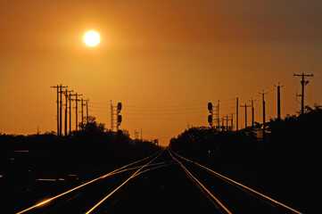 Fototapeta na wymiar Track in the sunset, Canada