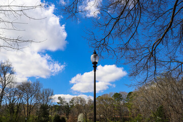 a tall black lamp post surrounded by bare winter trees and lush green trees with blue sky and...