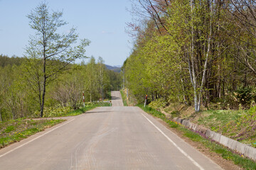 新緑林を通る坂道と青空

