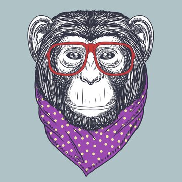 Chimpanzee Monkey Hand Drawn Wearing A Red Glasses And Bandana Polka Dot